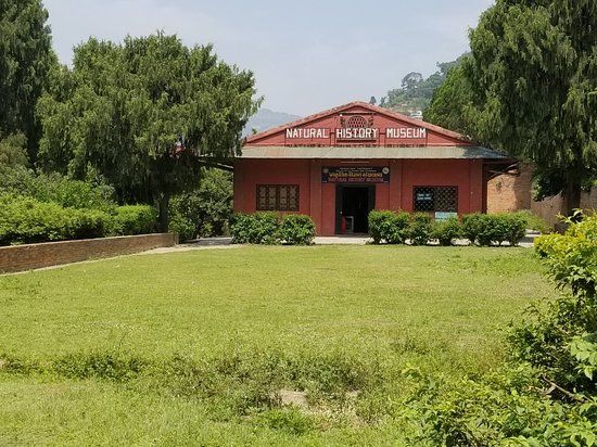 Natural History Museum